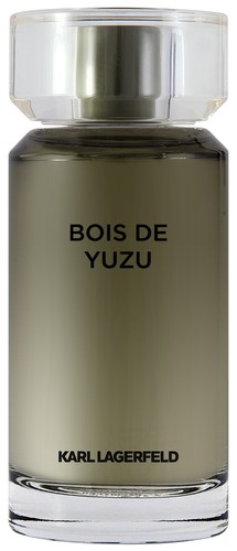Karl lagerfeld bois - karl,
